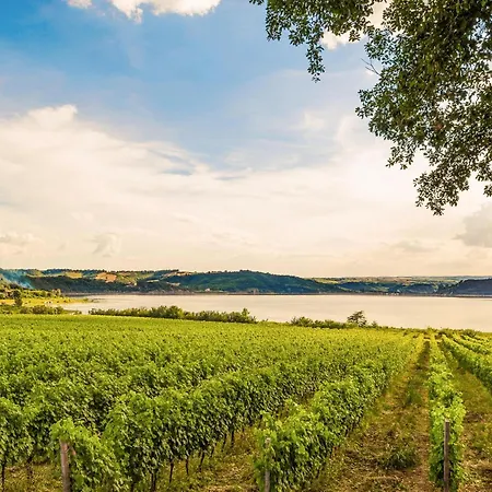 Stunning In With Wifi Διαμέρισμα Ficulle